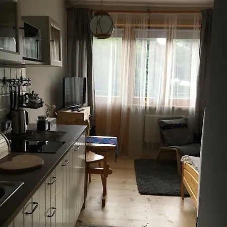 Nosalove Apartamenty Zakopane Exterior photo